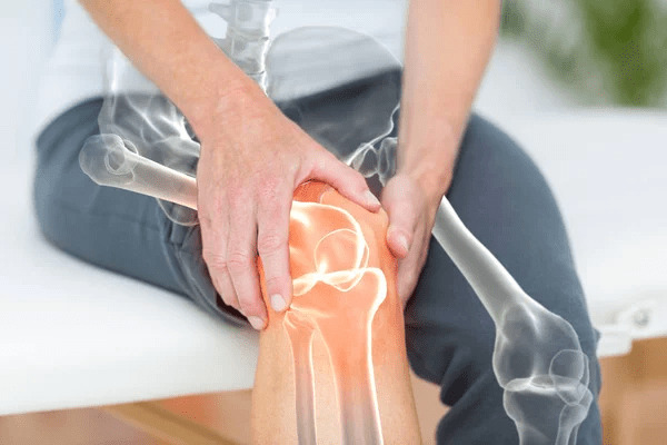 Top 10 Ortho PCD Companies in India